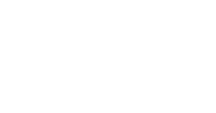Partner 30